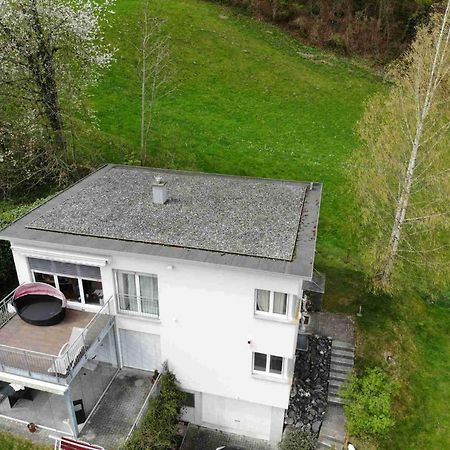 Alpen Panorama View Luxury House With Green Garden 布克斯 外观 照片
