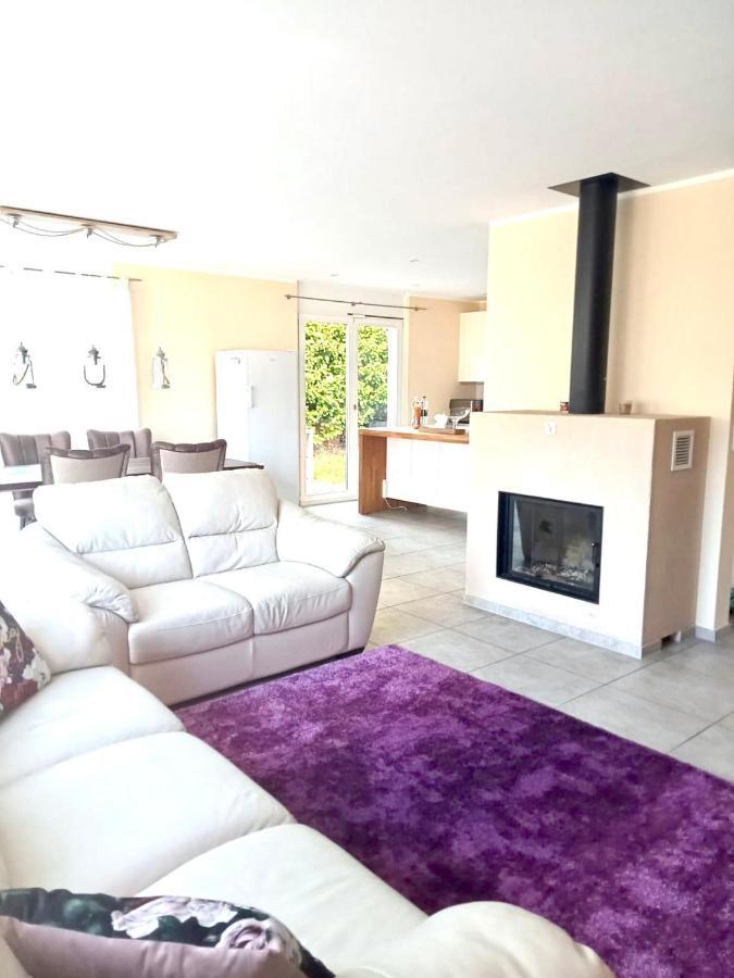 Alpen Panorama View Luxury House With Green Garden 布克斯 外观 照片