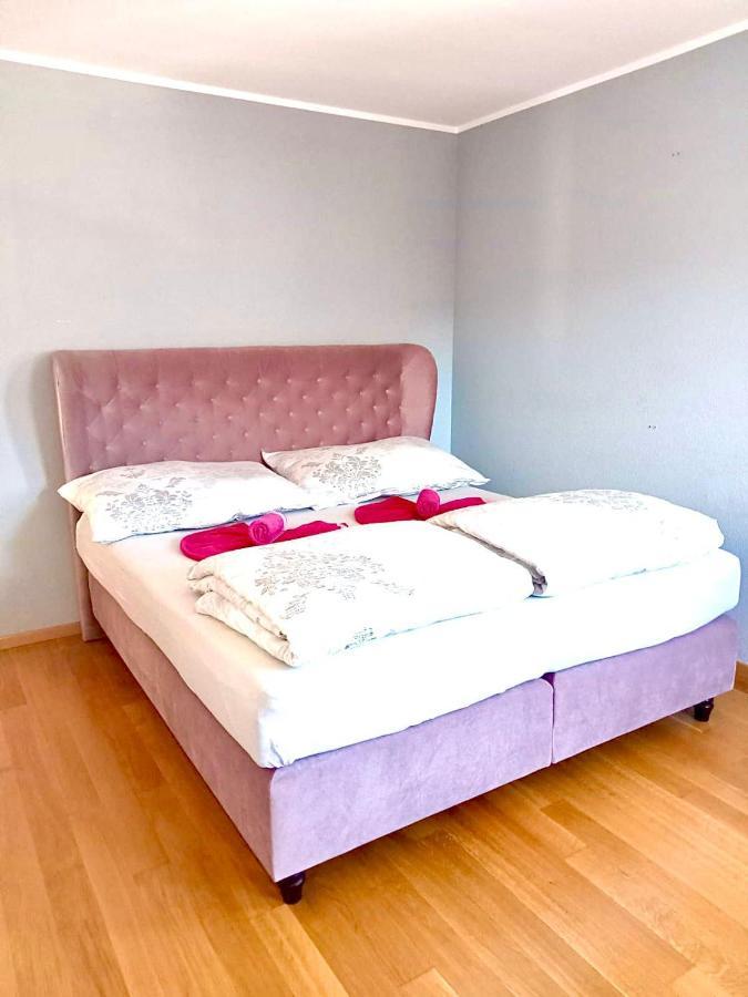 Alpen Panorama View Luxury House With Green Garden 布克斯 外观 照片