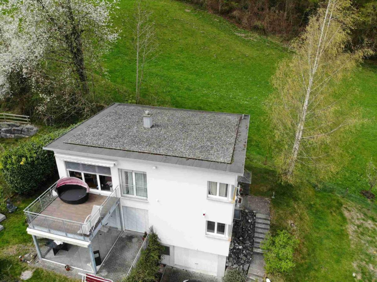 Alpen Panorama View Luxury House With Green Garden 布克斯 外观 照片