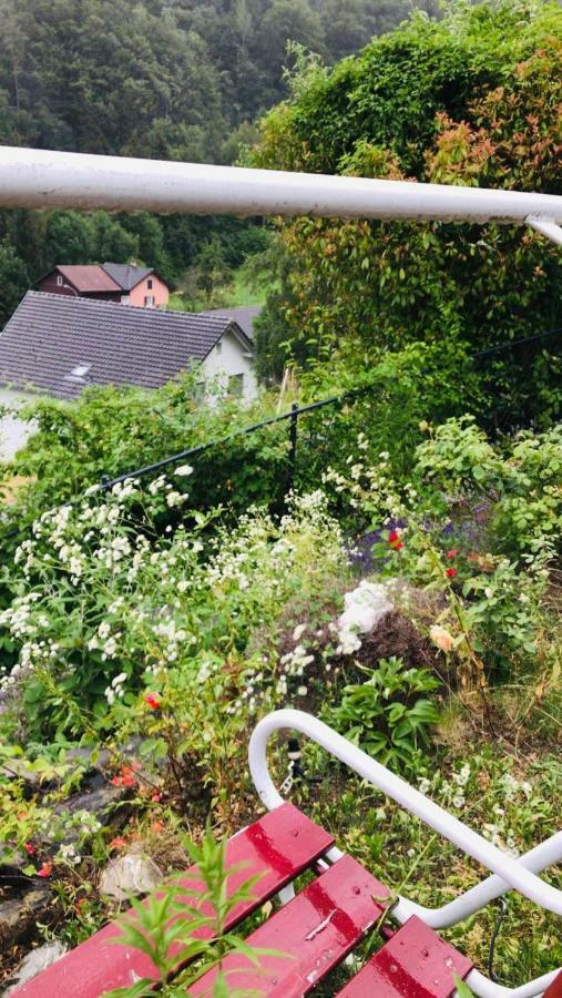 Alpen Panorama View Luxury House With Green Garden 布克斯 外观 照片